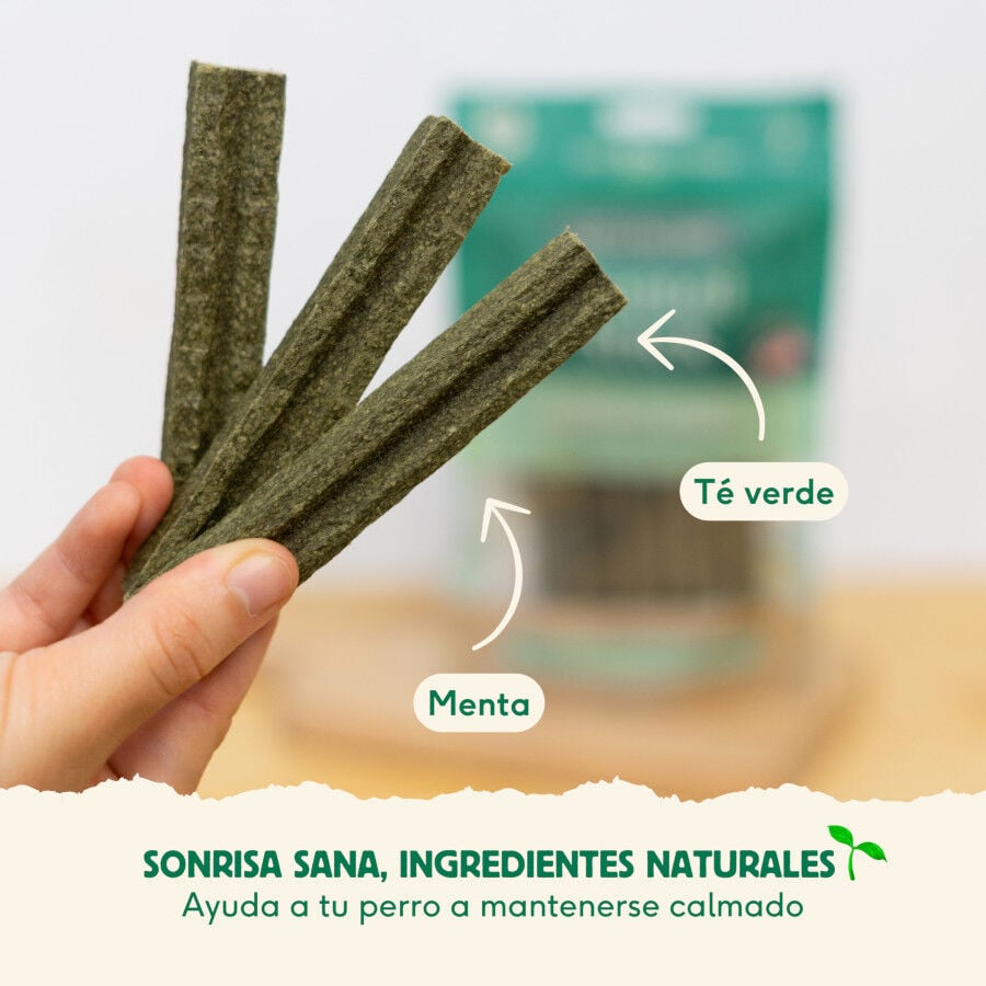7 barritas Wild Balance Stick Dentales de Pavo para Perros, , large Imagen numero 3